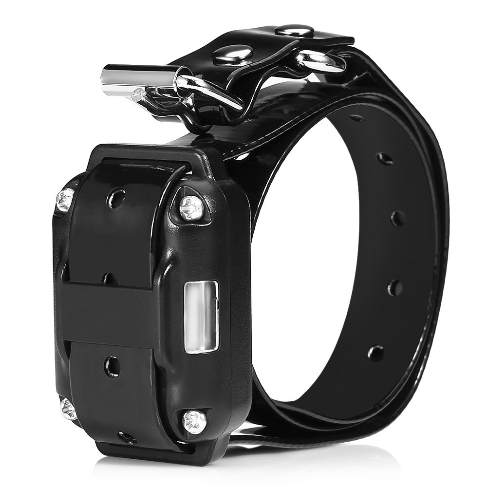 Electronic Dog Training Collar with Anti Barking Technology
