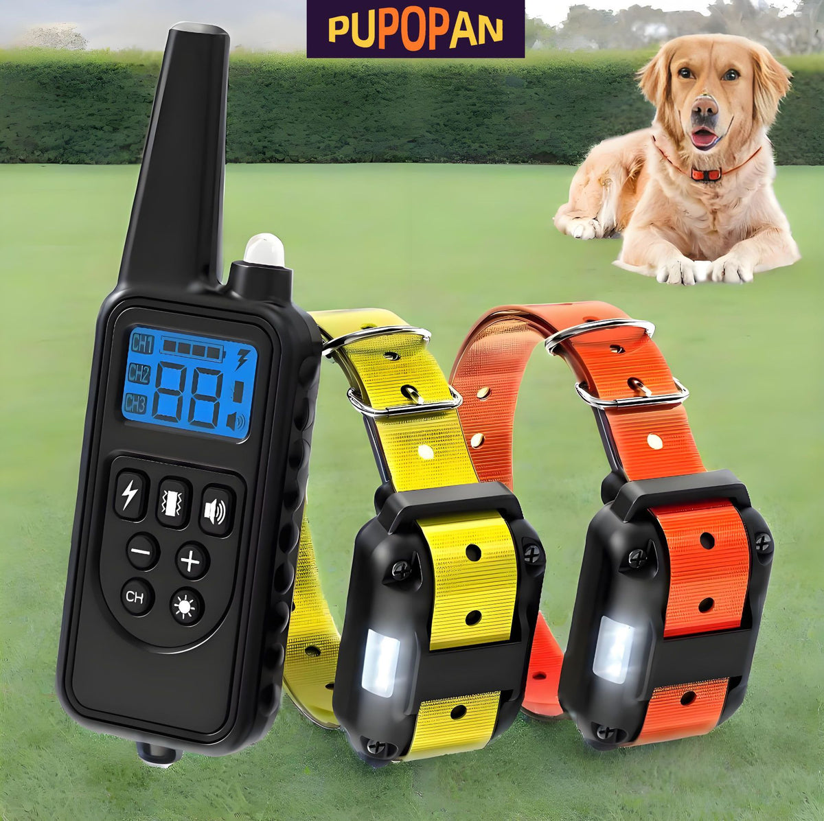 Electronic Dog Training Collar with Anti Barking Technology
