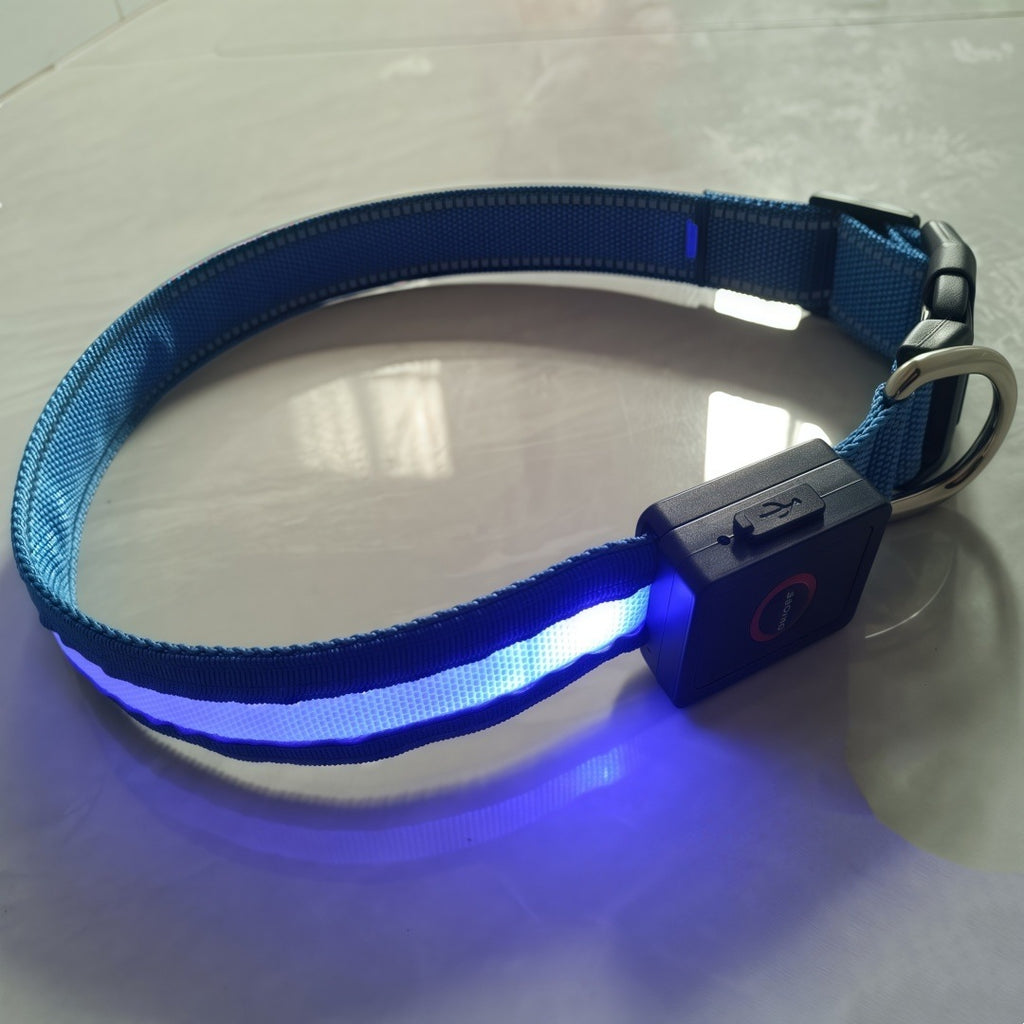 LED Light Up Dog Collar
