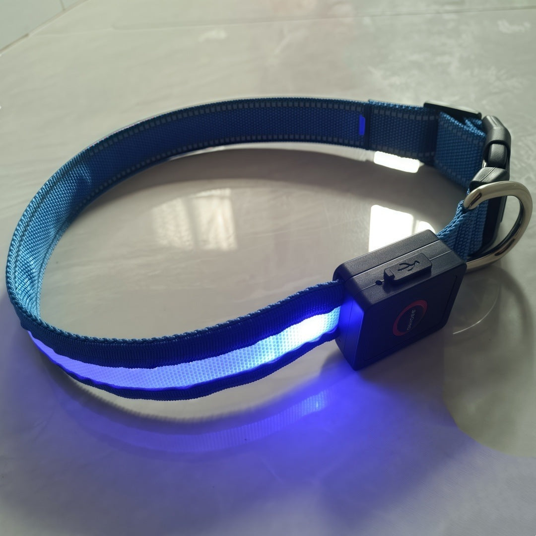 LED Light Up Dog Collar