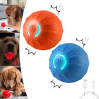 Pet traction ball
