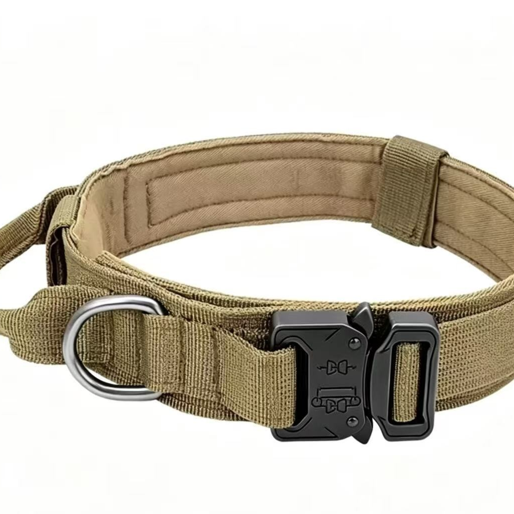 Tactical dog collar