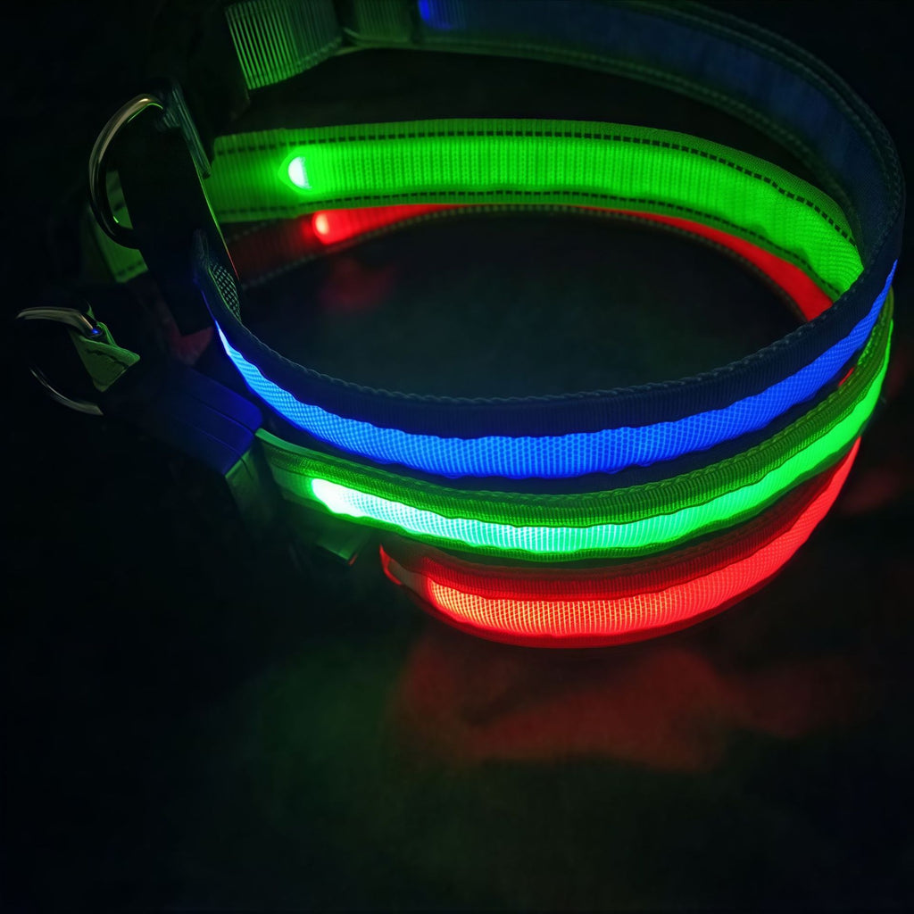 LED Light Up Dog Collar