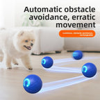 Pet traction ball