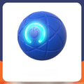 Pet traction ball