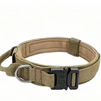Tactical dog collar