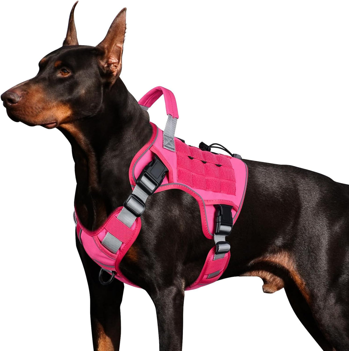 Tactical Dog Harness with Reflective Strips