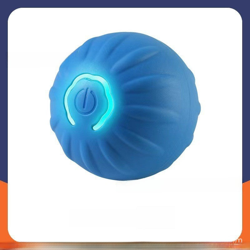 Pet traction ball