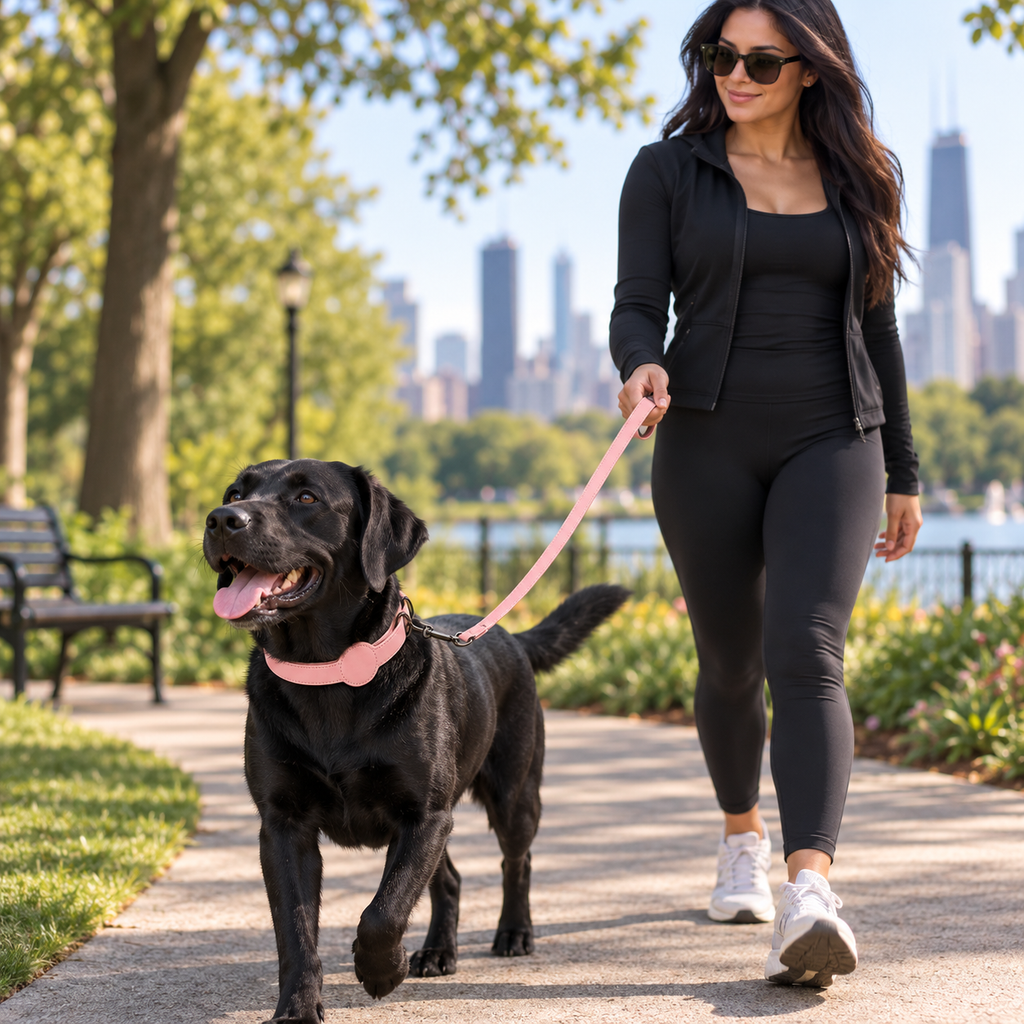 Pet Locator Collar (designed for Apple AirTag)