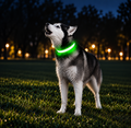 LED Light Up Dog Collar