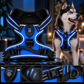 Adjustable LED Pet Vest